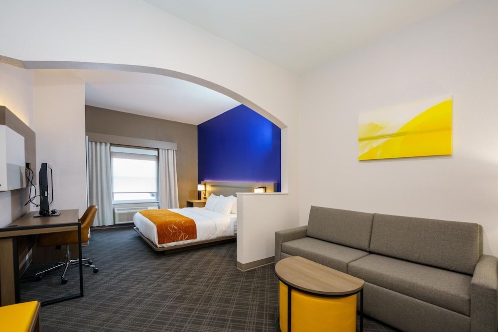 Suite, 1 King Bed with Sofa bed, Accessible, Non Smoking