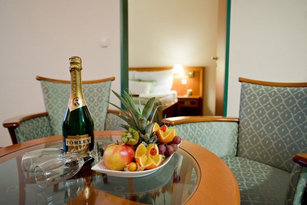 Palace Hotel Heviz Family Apartment 7