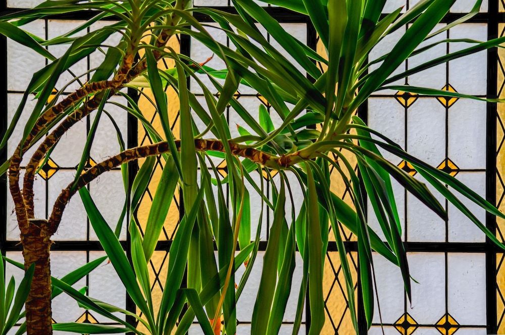 undefined Hotel Príncipe Real 3