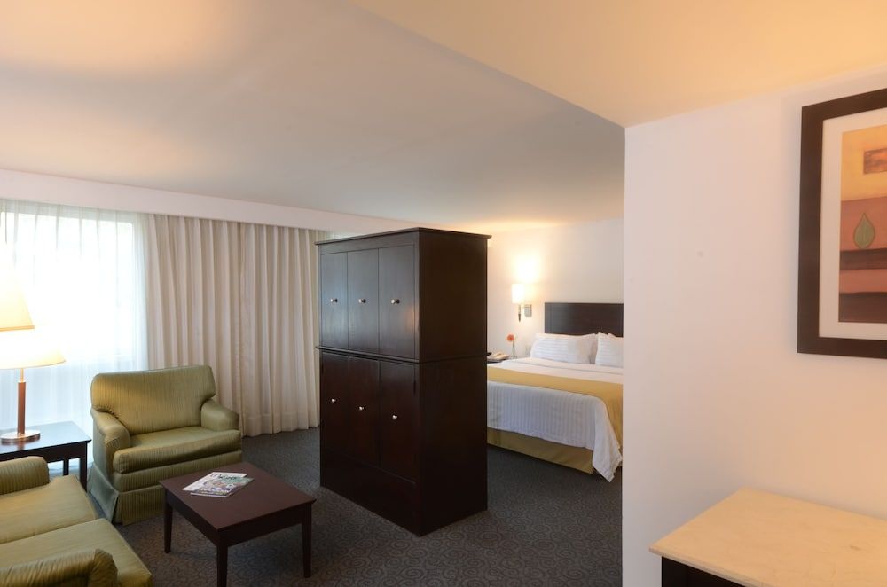 Suite, 1 King Bed