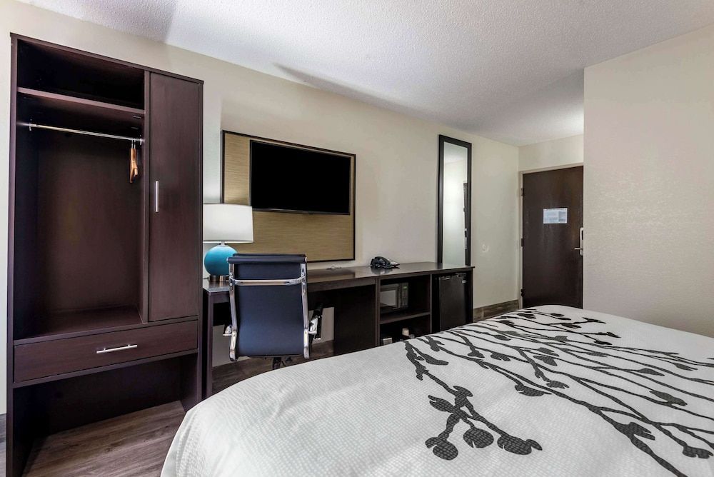 Room, 1 King Bed, Accessible, Non Smoking