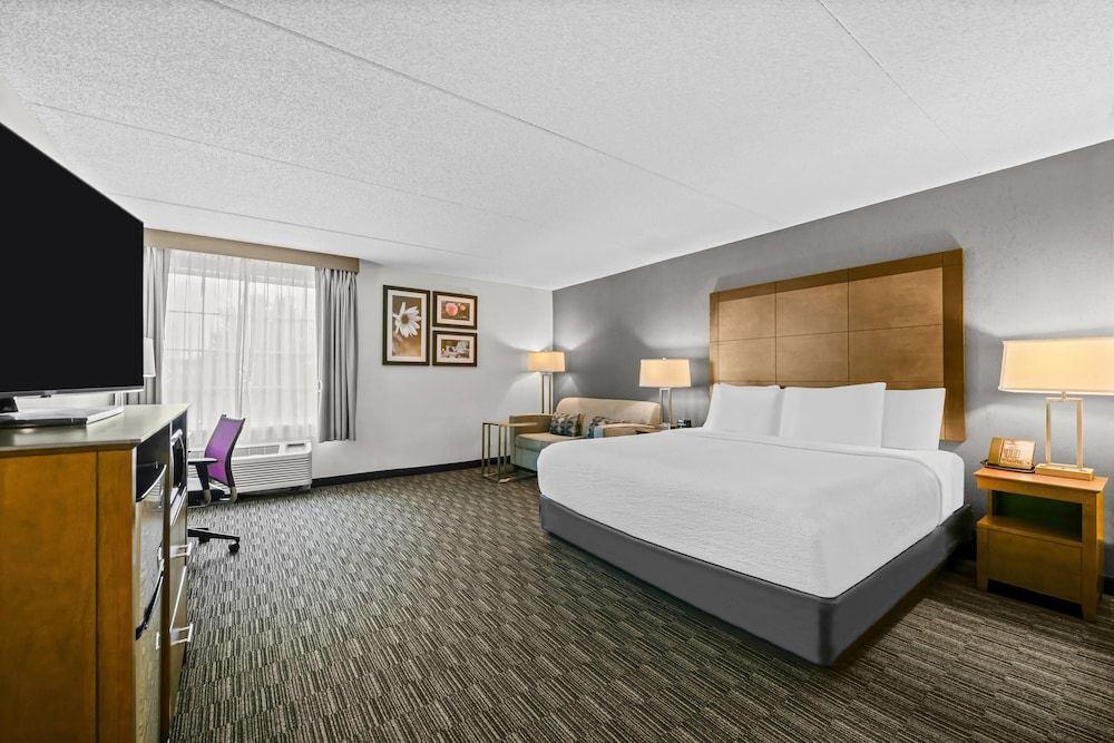 Studio Suite, 1 King Bed, Accessible, Non Smoking (Mobility)