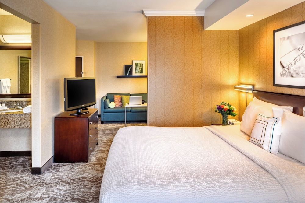 Suite, 1 King Bed with Sofa bed (Mobility/Hearing Accessible, Tub)
