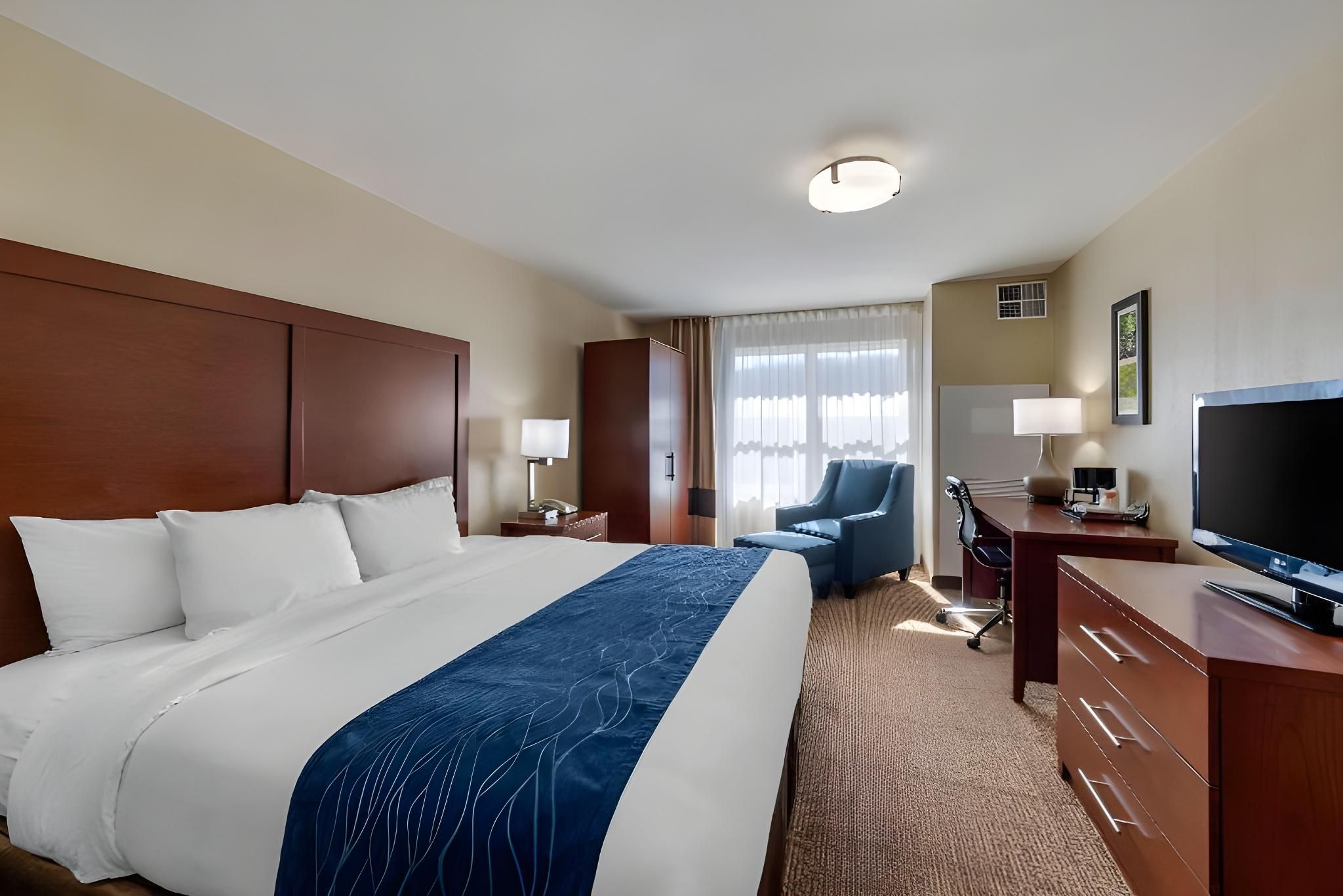 1 King Bed, Nonsmoking, Accessible