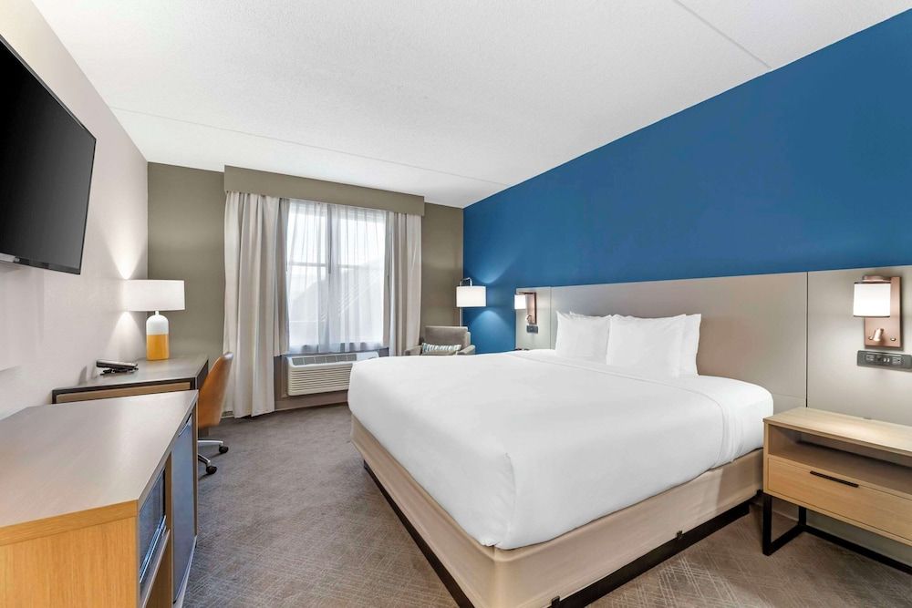Room, 1 King Bed, Accessible, Non Smoking (Roll-in Shower)