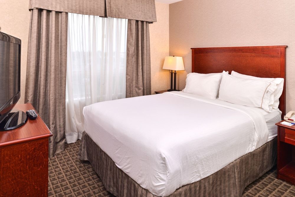 Suite, 1 Queen Bed with Sofa bed