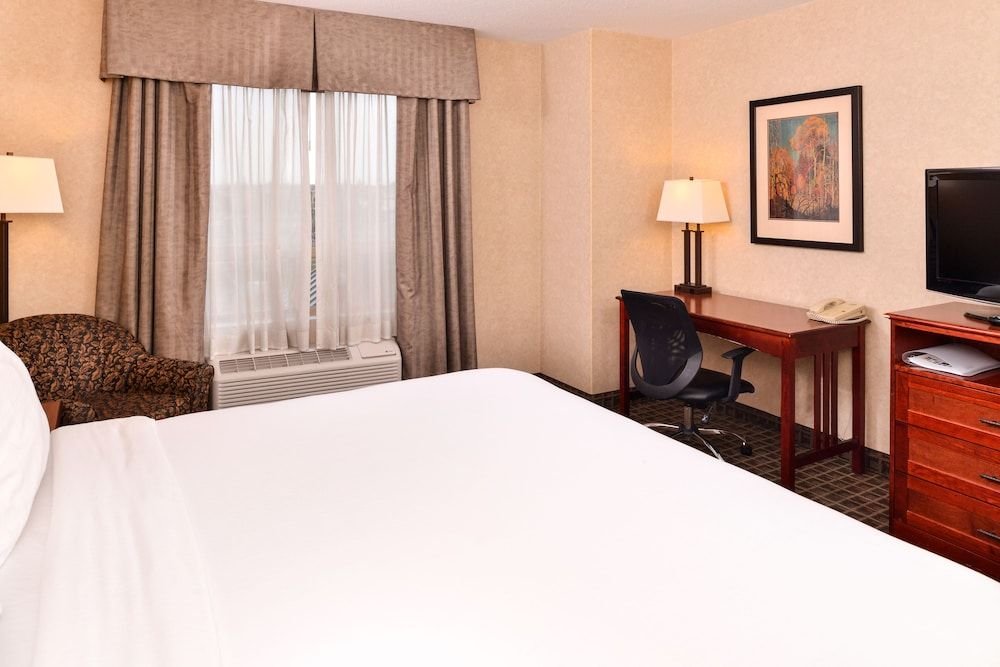 Standard Room, 1 King Bed, Roll-in Shower (Mobility Accessible)