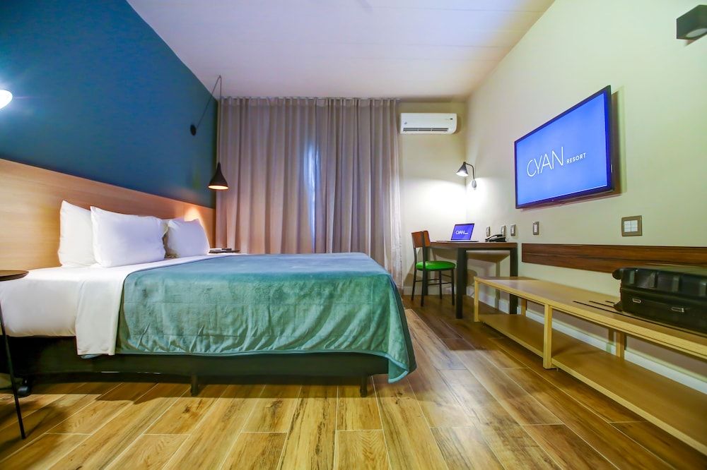 Double Room, 1 King Bed