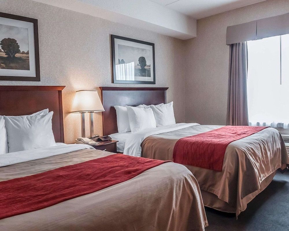 undefined Comfort Inn Mississauga 3