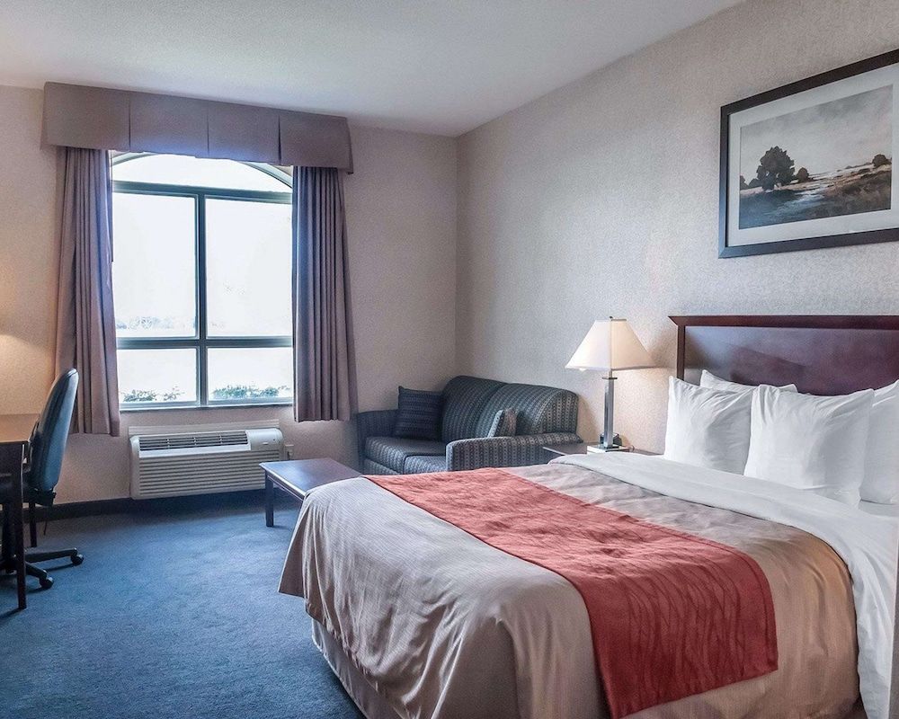 undefined Comfort Inn Mississauga 2