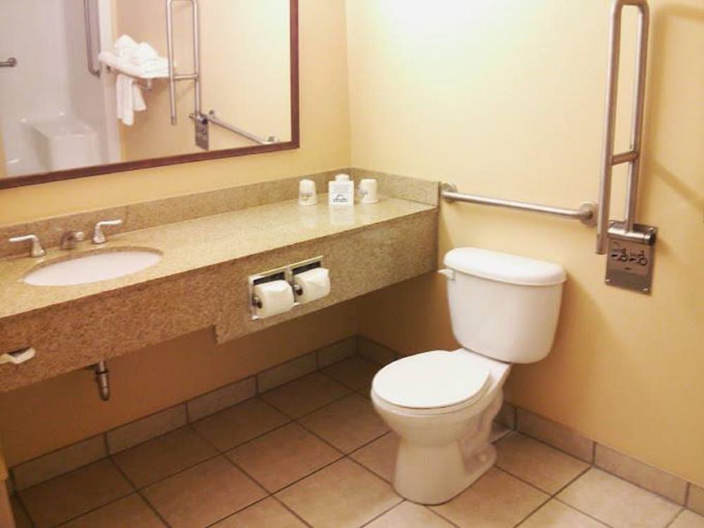 Room, 1 King Bed, Accessible, Non Smoking
