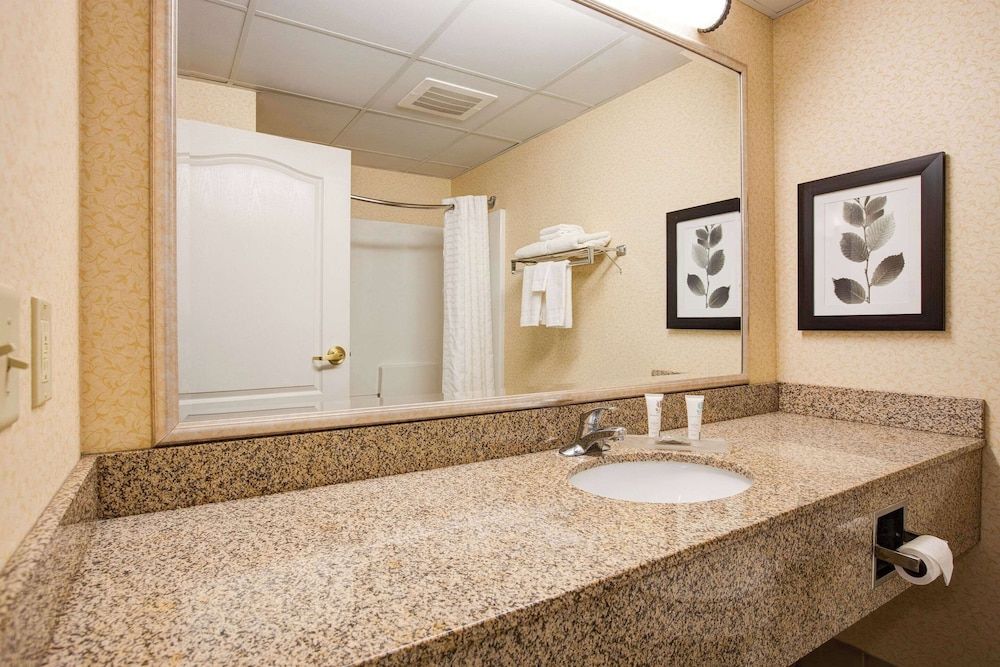 Comfort Inn & Suites St. Paul Northeast Standard Room, 1 King Bed, Non Smoking 4