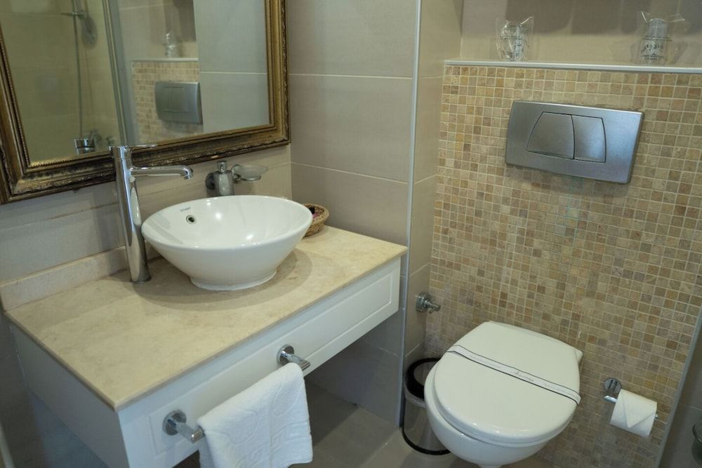 Avicenna Hotel - Special Class Standard Double or Twin Room 8