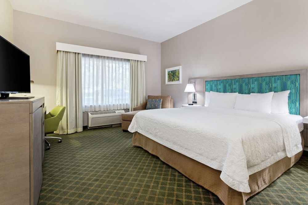 Room, 1 King Bed, Accessible, Bathtub