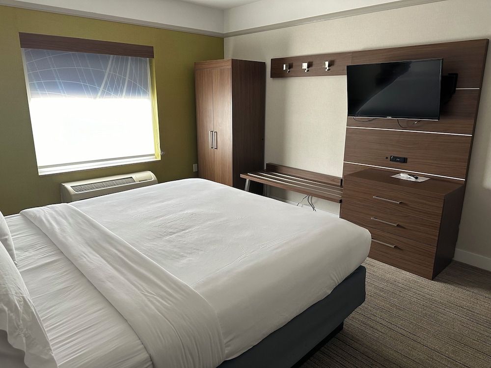 Suite, 1 King Bed with Sofa bed