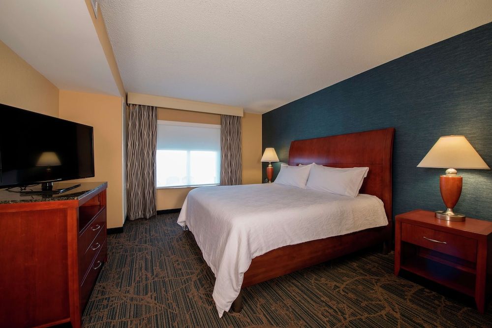 One king bed evolution suite