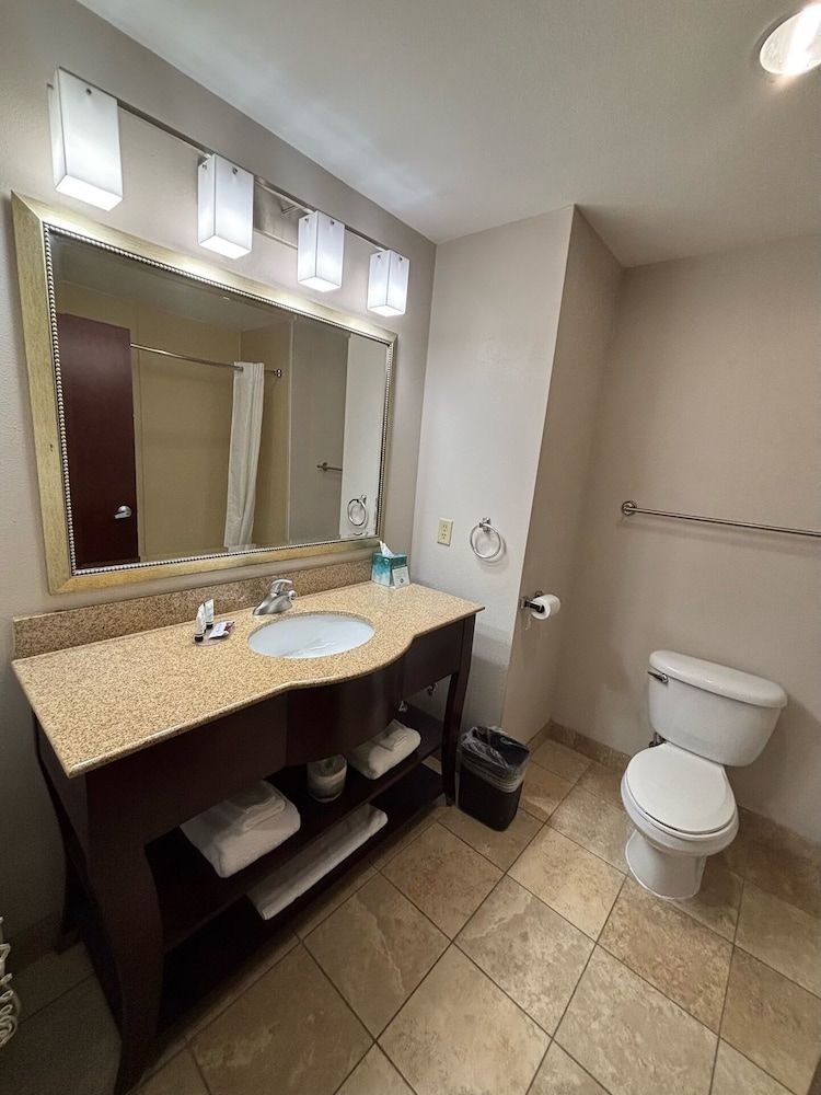 Deluxe Room, 1 King Bed, Non Smoking
