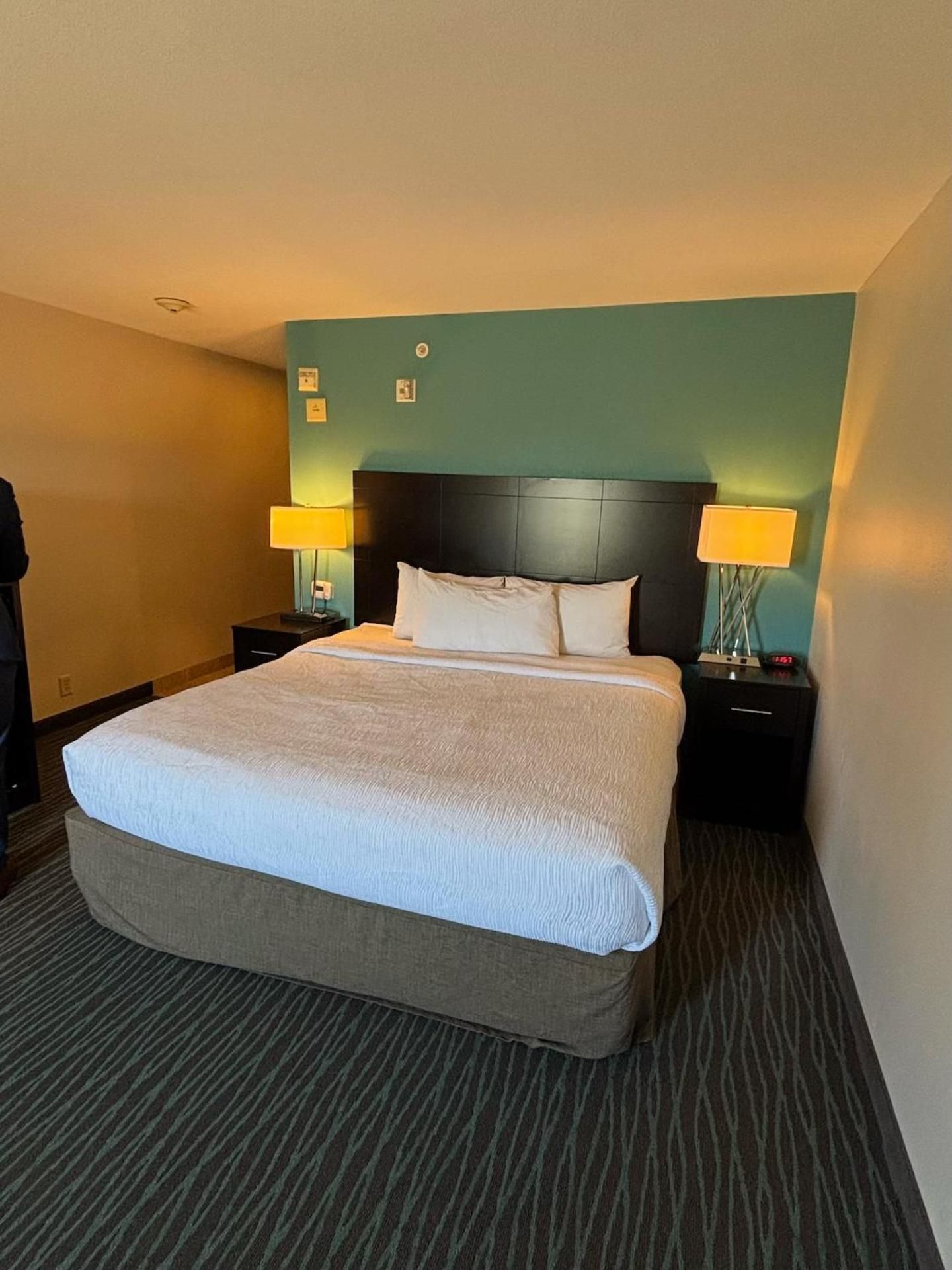 1 King Bed, Non-Smoking