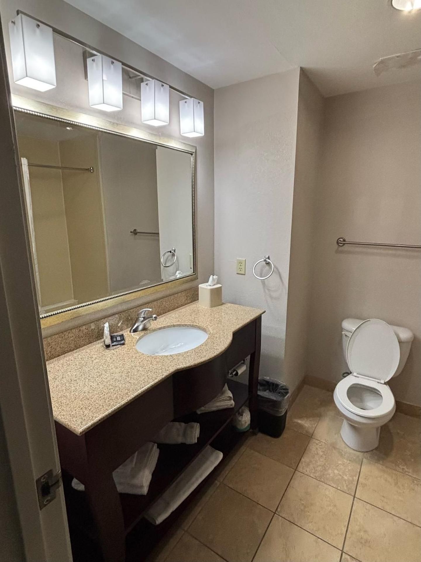1 King Bed, Deluxe Room, Non-Smoking