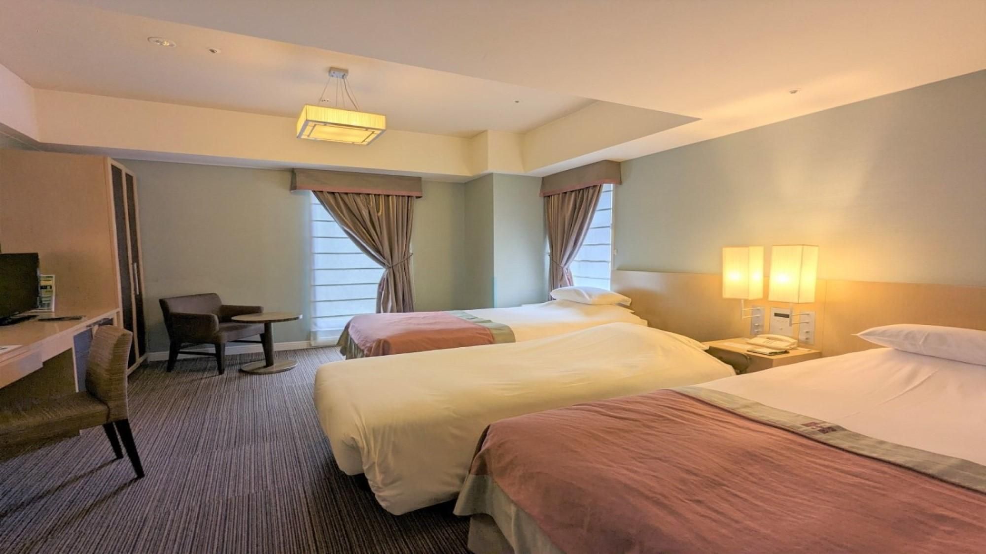 Deluxe Twin Room - Non-Smoking
