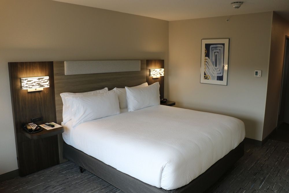 Standard Room, 1 King Bed, Accessible Bathtub (Mobility)