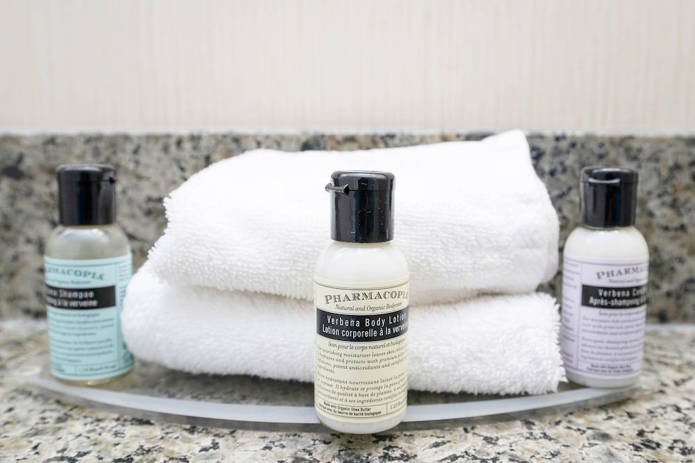 Sandman Hotels & Suites Calgary West Standard Room, 1 King Bed 6