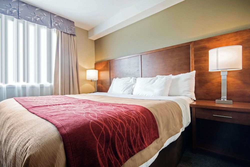 Suite, 1 King Bed with Sofa bed, Non Smoking