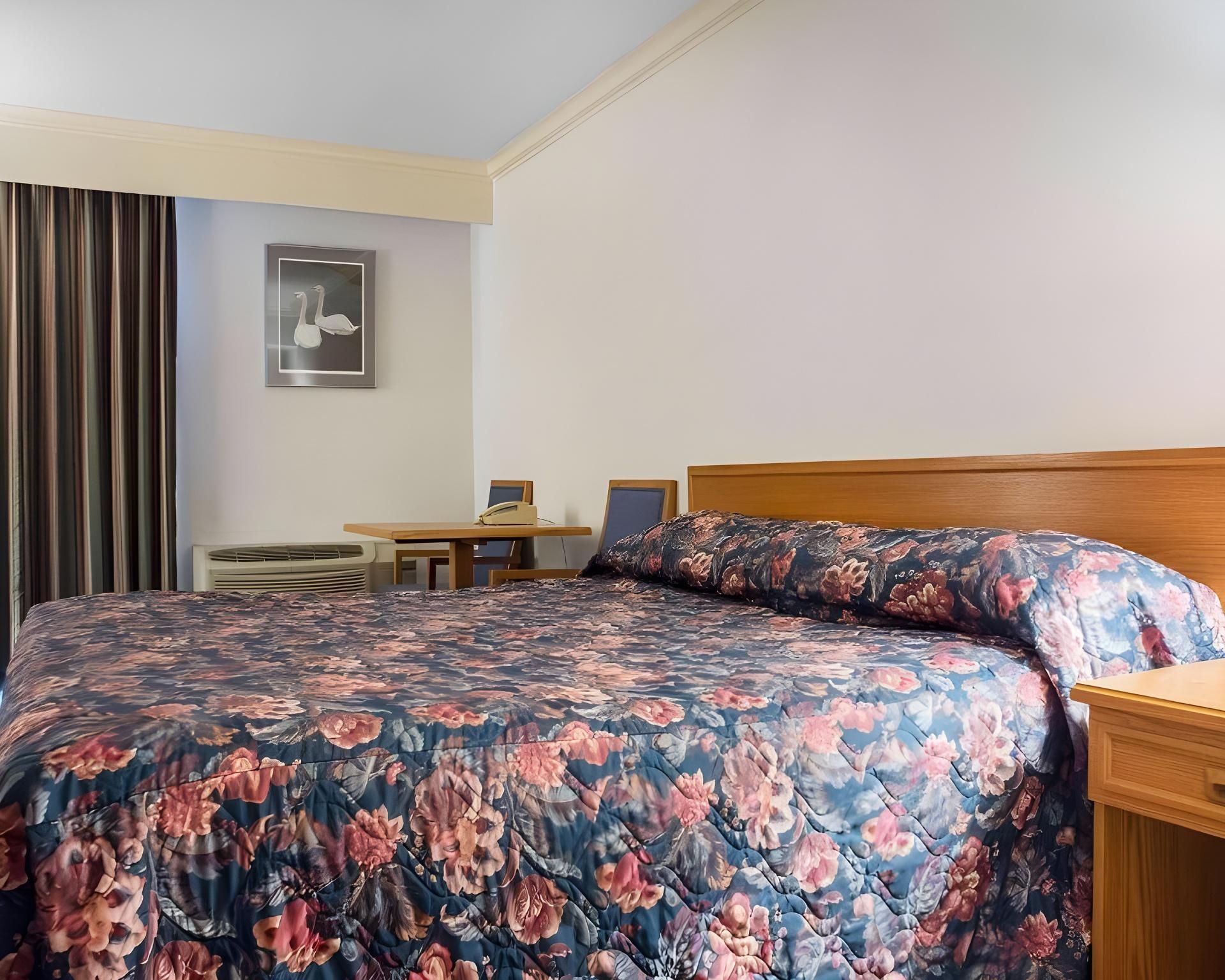 1 King Bed, No Smoking