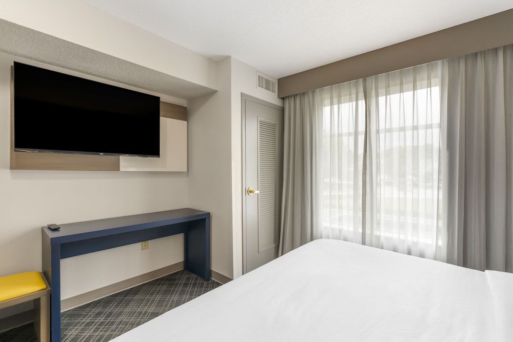 Suite, 1 King Bed with Sofa bed, Non Smoking