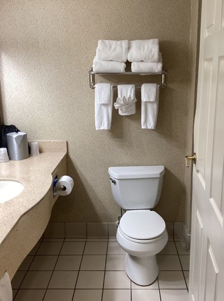 Suite, 1 King Bed (Additional Living Area)