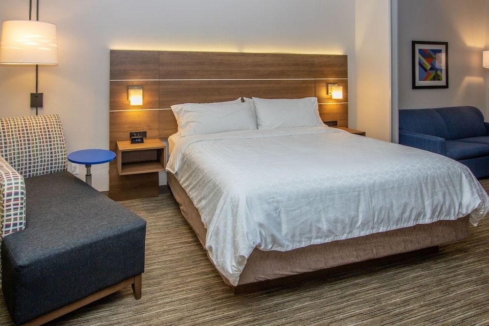 Suite, 1 King Bed with Sofa bed