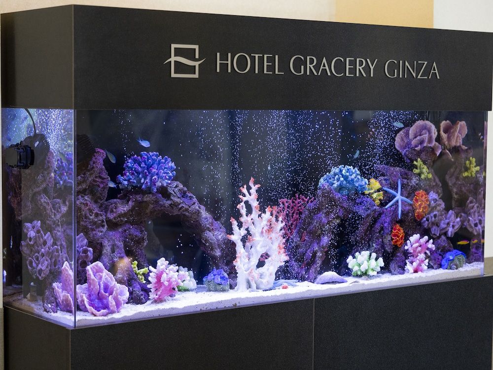 undefined Hotel Gracery Ginza 4