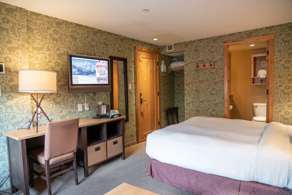 The Fox Hotel and Suites Standard Room 5
