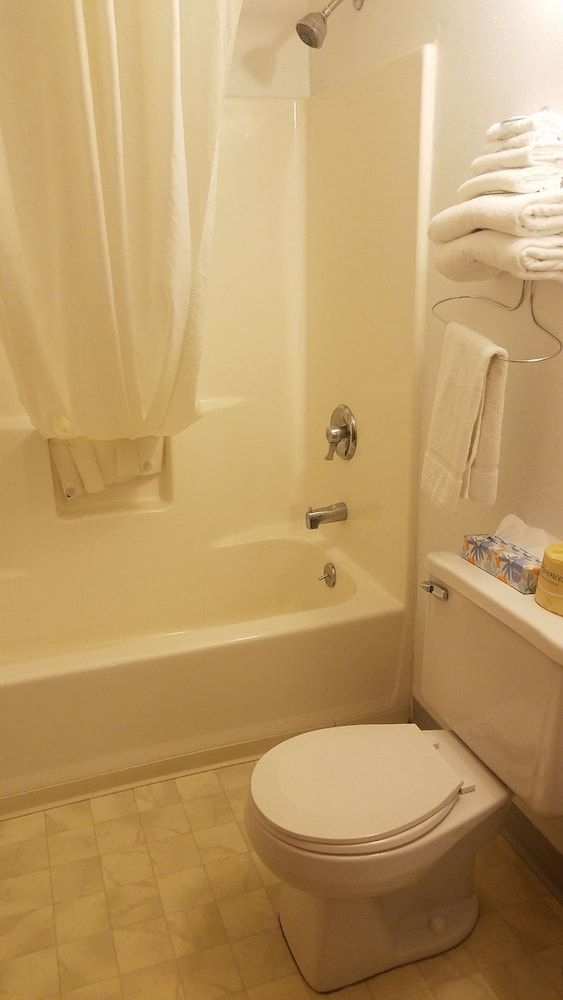 Room, 1 Queen Bed, Non Smoking, Kitchen