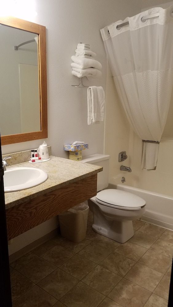 Room, 1 King Bed, Non Smoking, Microwave