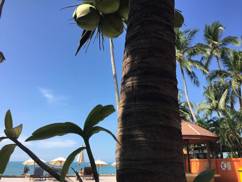 undefined Kanok Buri Resort 10