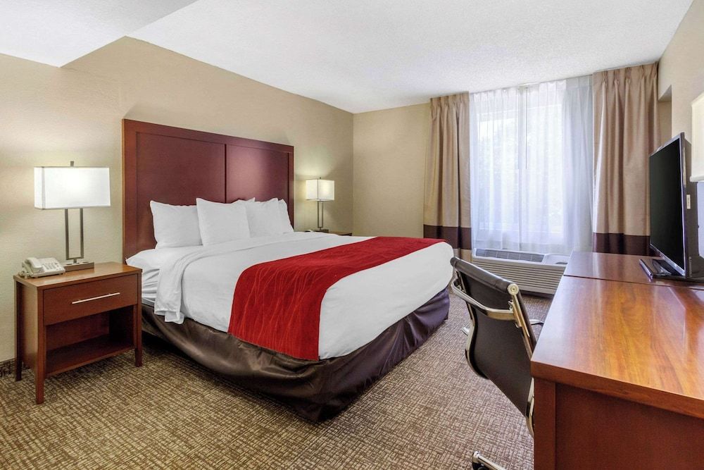 Suite, 1 King Bed with Sofa bed, Non Smoking