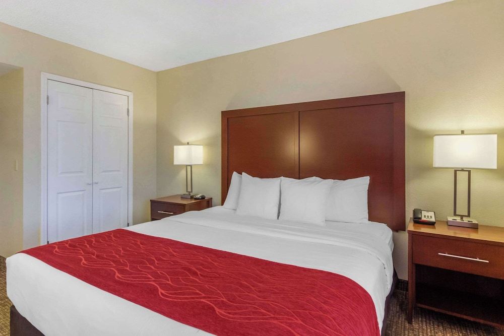 Suite, 1 King Bed with Sofa bed, Non Smoking