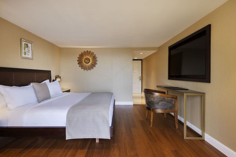 Orchid Eilat Superior Siam 7