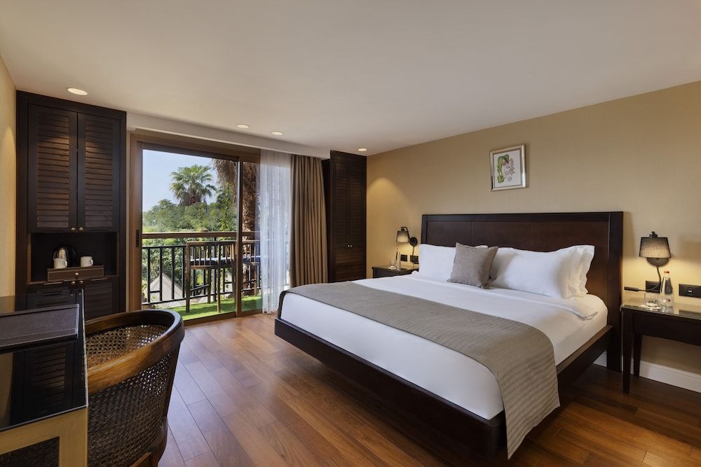 Orchid Eilat Superior Siam 6