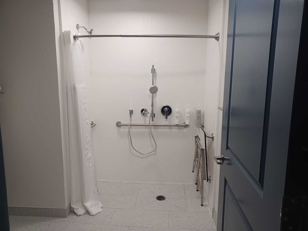 Room, 1 King Bed, Accessible (Mobility & Hearing, Roll-in Shower)
