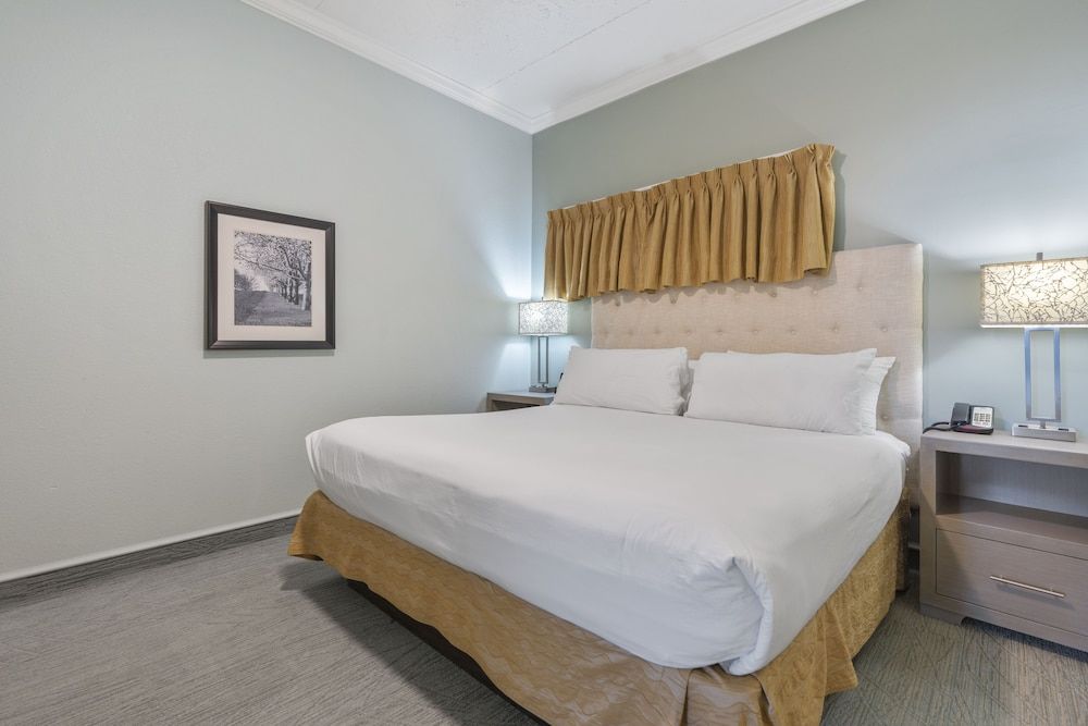 Cherry Tree Inn & Suites Walloon Lake Suite - King First Floor