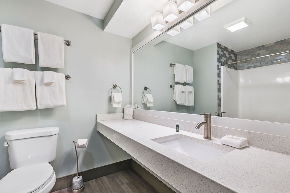 Cherry Tree Inn & Suites Elk Rapids Studio - 2 Queens 4