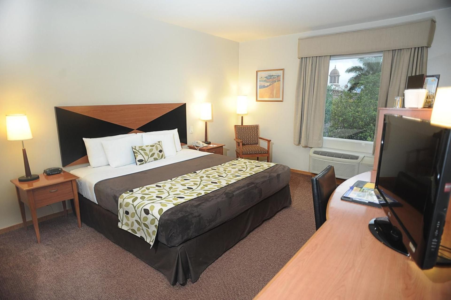 Sleep Inn Hotel Paseo Las Damas 1 King Bed, Nonsmoking, Accessible 2