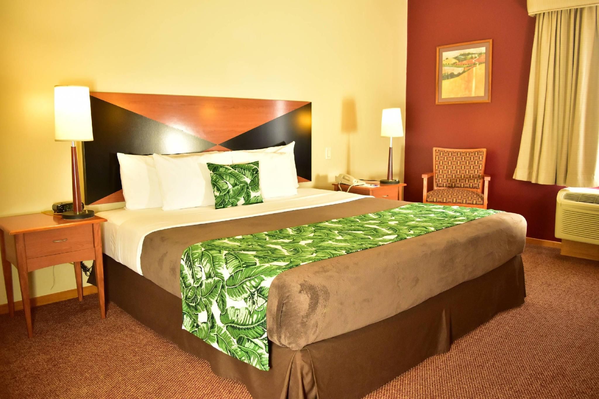 Sleep Inn Hotel Paseo Las Damas 1 King Bed, Nonsmoking, Accessible