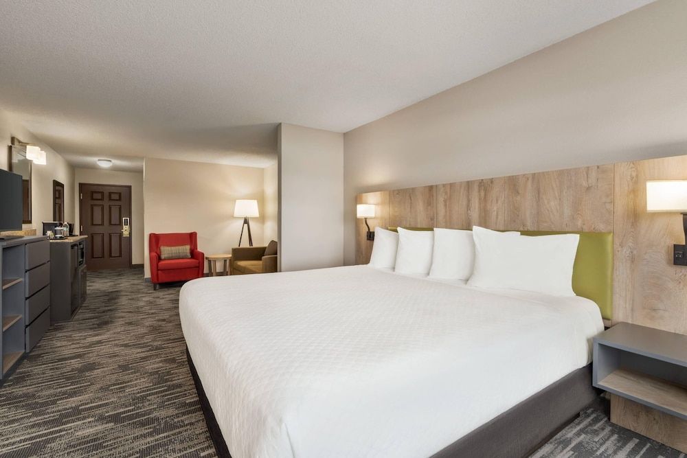 Studio Suite, 1 King Bed with Sofa bed, Non Smoking