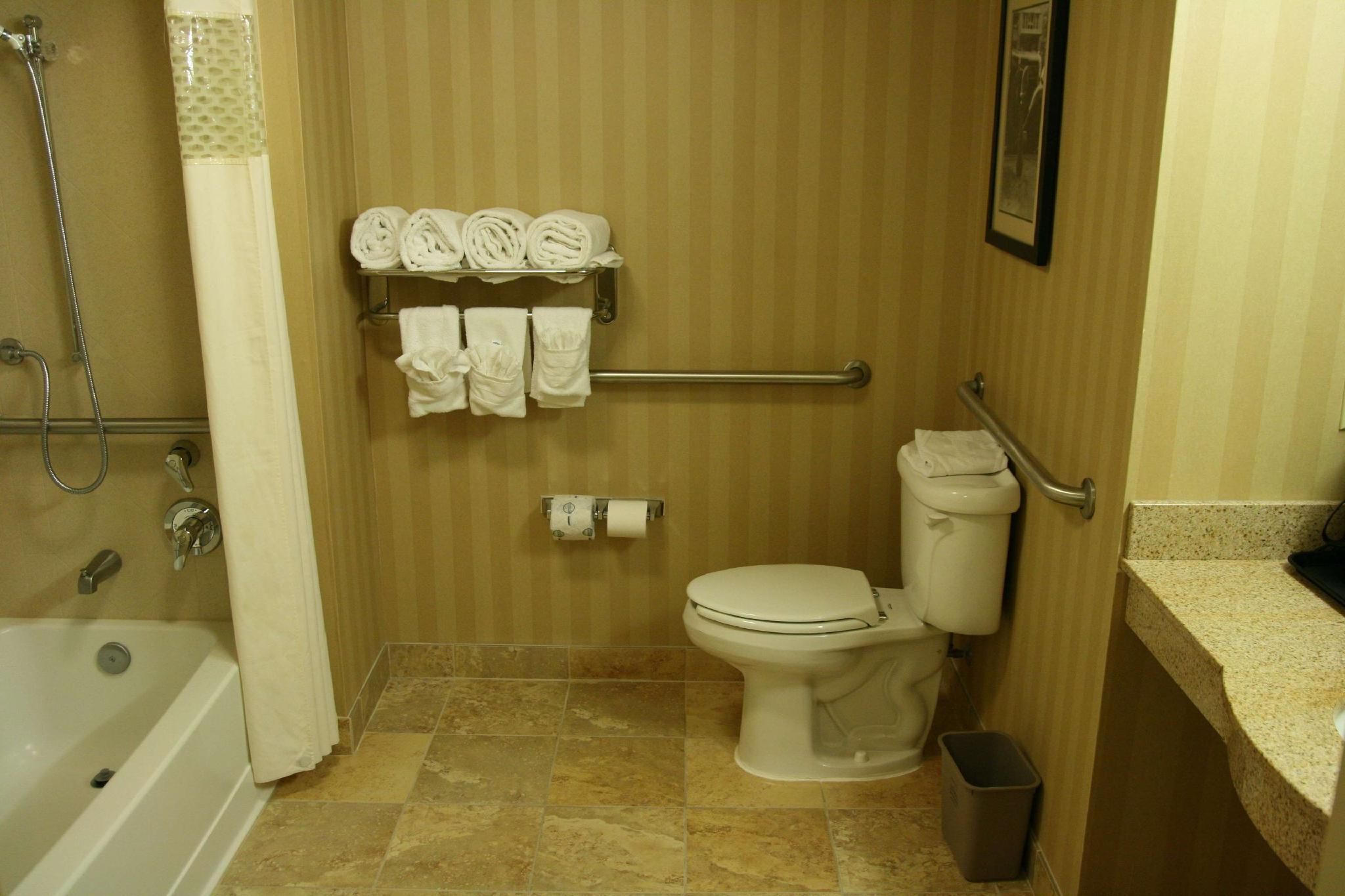 1 KING MOBILITY/HEARING ACCESS W/TUB NONSMOK
