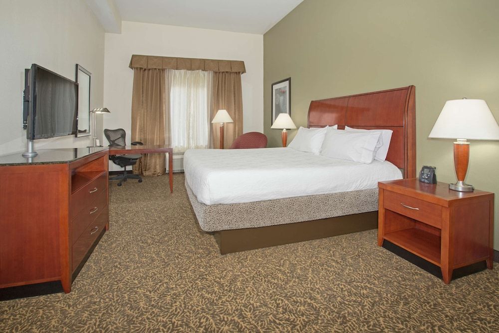 Room, 1 King Bed