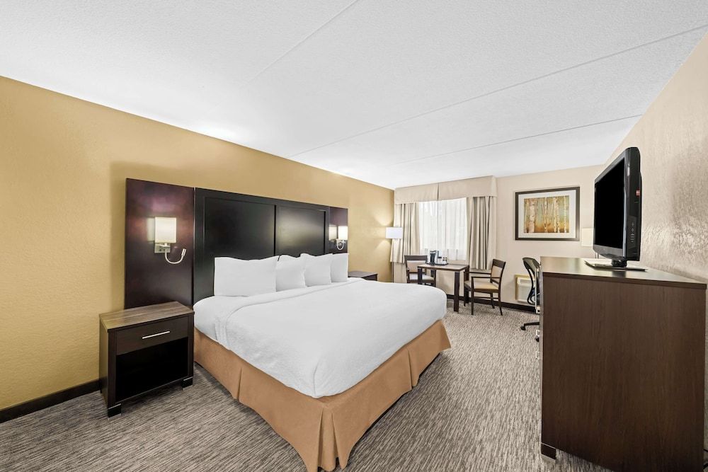 Standard Room, 1 King Bed, Non Smoking