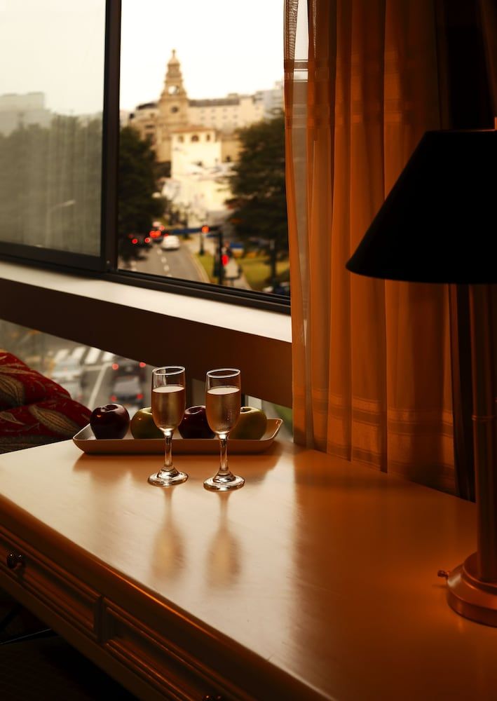 Suites del Bosque Hotel Suite Junior King 11